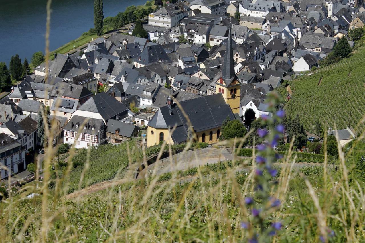 Ferienhaus Moselblick Ürzig Exterior foto